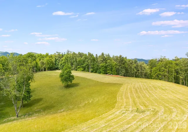 Photo 3 of Land for sale at Tbd California Crk Rd, Mars Hill, NC 28754 | MLS# 4387821 | Listing updated on 2026-08-13