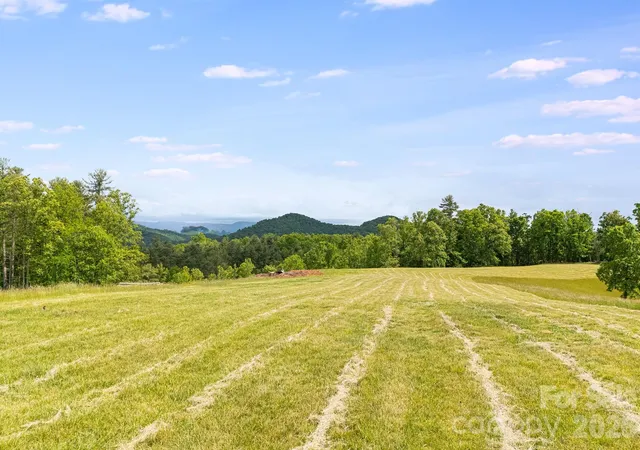 Photo 4 of Land for sale at Tbd California Crk Rd, Mars Hill, NC 28754 | MLS# 4387821 | Listing updated on 2026-08-13