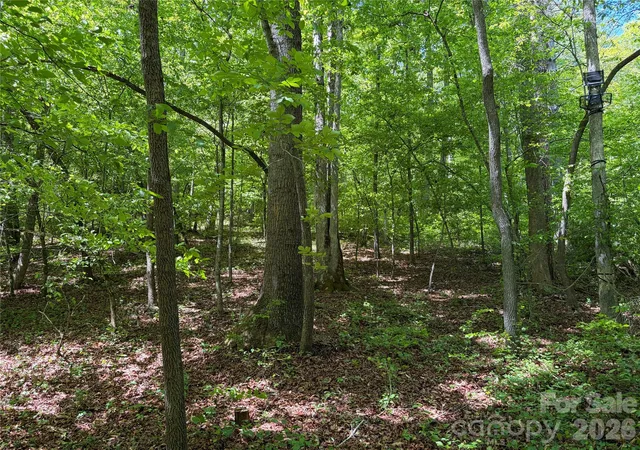 Homes for sale in Roaring River, NC | 8186 Old State Hwy, Roaring River, NC 28697 | MLS# 4387839