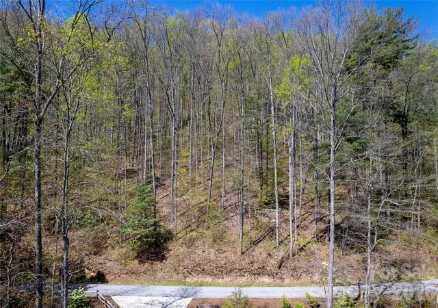 Homes for sale in Tuckasegee, NC | Lot 277 Pepperbush Ln #277, Tuckasegee, NC 28783 | MLS# 4387845