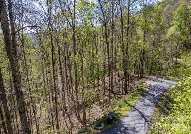 Homes for sale in Tuckasegee, NC | Lot 277 Pepperbush Ln #277, Tuckasegee, NC 28783 | MLS# 4387845