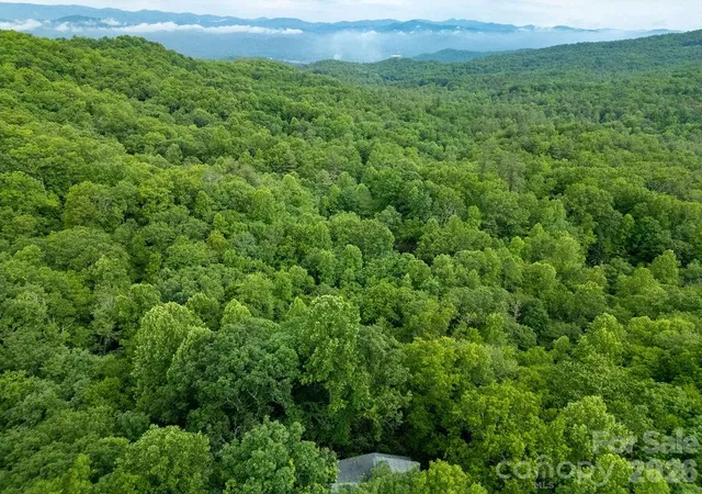 Homes for sale in Pisgah Forest, NC | 118 Little Bear Ln, Pisgah Forest, NC 28768 | MLS# 4387864