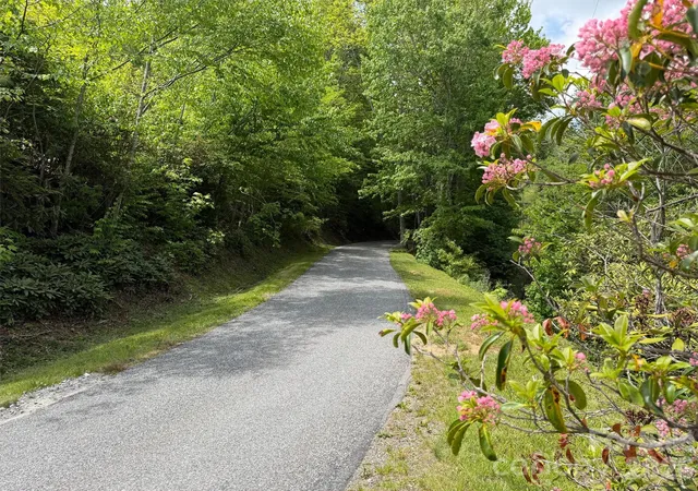 Photo 4 of Land for sale at 00 Leatherwood Rd, Maggie Valley, NC 28751 | MLS# 4387943 | Listing updated on 2026-06-15