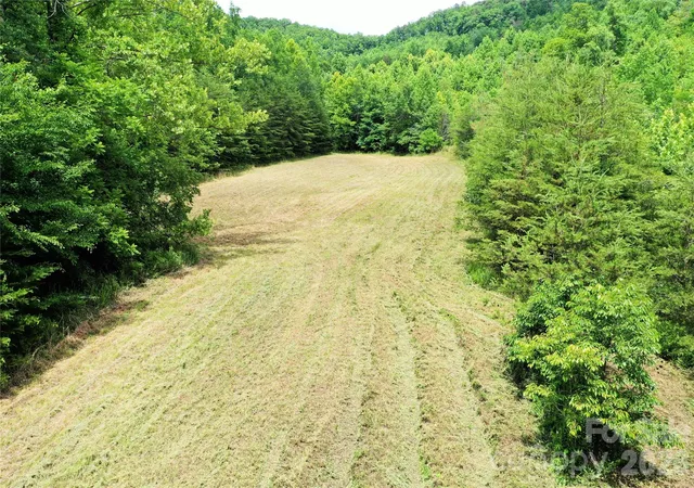 3rd image of 00 Club House Rd, Lake Lure, NC 28746 | MLS# 4387989