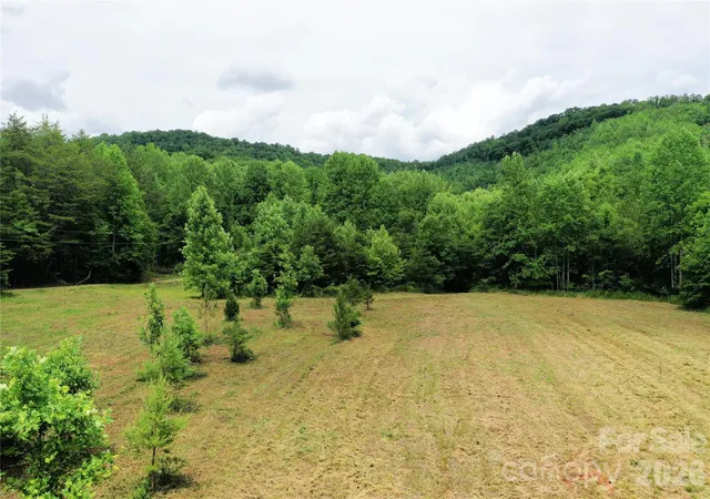 5th image of 00 Club House Rd, Lake Lure, NC 28746 | MLS# 4387989