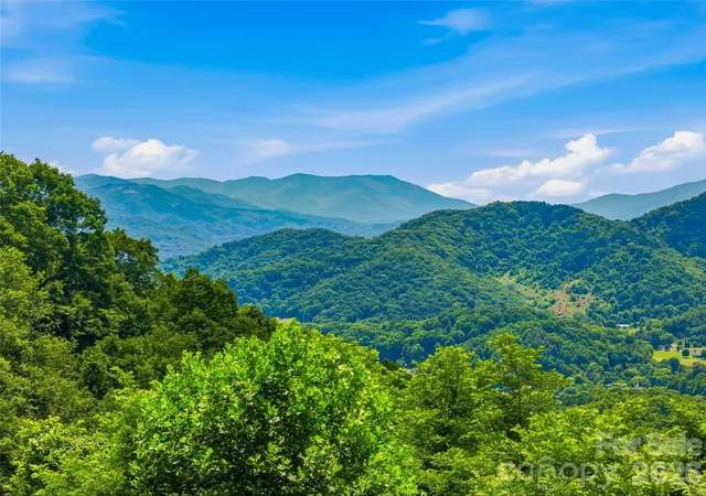 Homes for sale in Canton, NC | 1877 Wilson Cove Rd, Canton, NC 28716 | MLS# 4388095