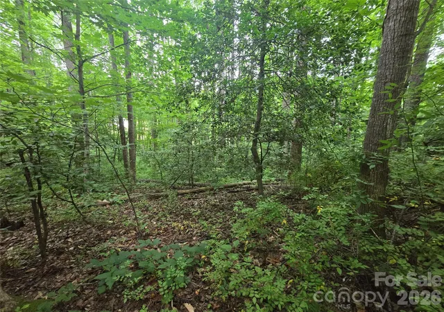 Photo 4 of Land for sale at 99999 US 221 Business Ext N #2, Marion, NC 28752 | MLS# 4388122 | Listing updated on 2026-08-31