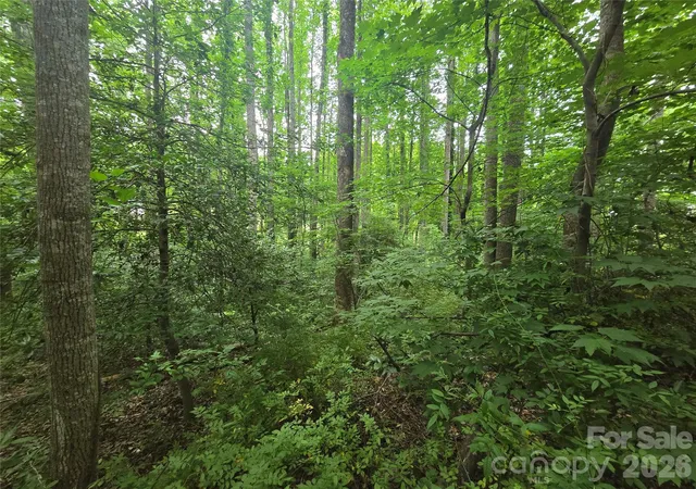 Photo 5 of Land for sale at 99999 US 221 Business Ext N #2, Marion, NC 28752 | MLS# 4388122 | Listing updated on 2026-08-31