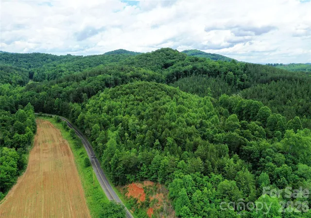1st image of 00 Herman Wilson Rd, Lake Lure, NC 28746 | MLS# 4388128