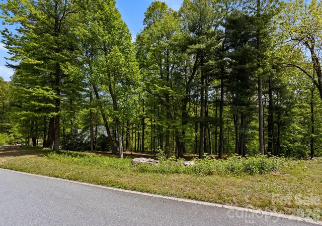 Homes for sale in Flat Rock, NC | 000 Hollybrook Dr #S-15, Flat Rock, NC 28731 | MLS# 4388180