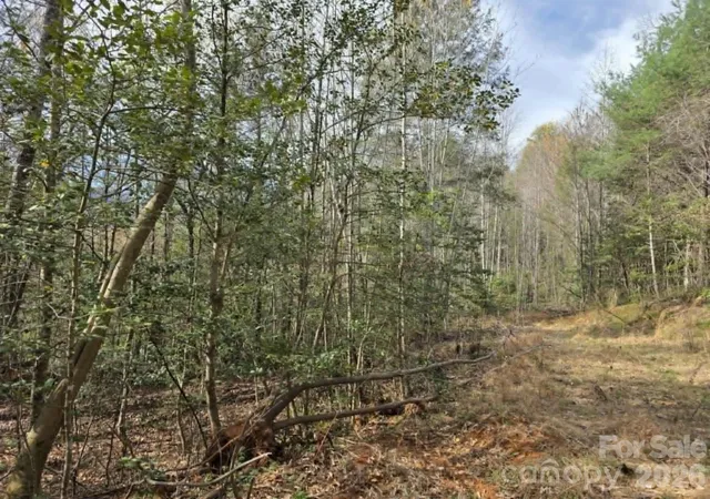 Homes for sale in Old Fort, NC | Lot 5 Kerlee Ln, Old Fort, NC 28762 | MLS# 4388245