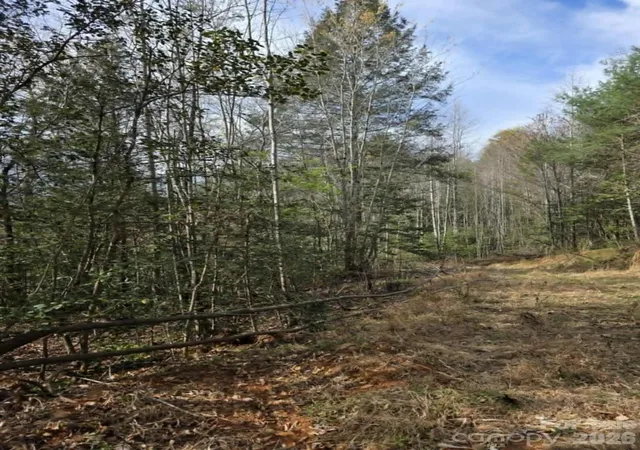 Homes for sale in Old Fort, NC | Lot 5 Kerlee Ln, Old Fort, NC 28762 | MLS# 4388245