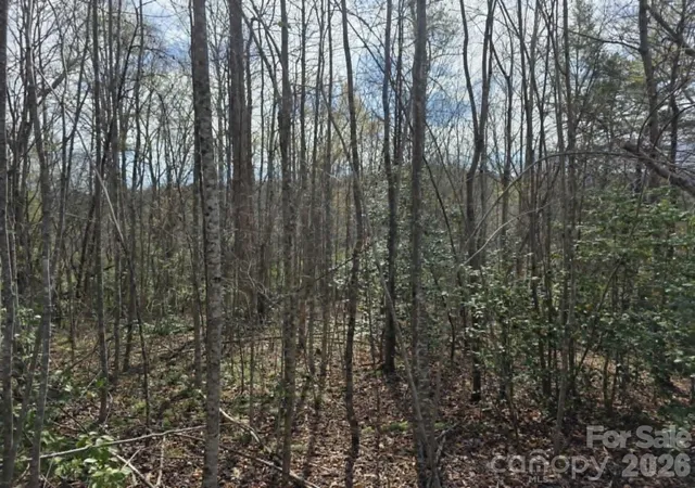 Homes for sale in Old Fort, NC | Lot 5 Kerlee Ln, Old Fort, NC 28762 | MLS# 4388245