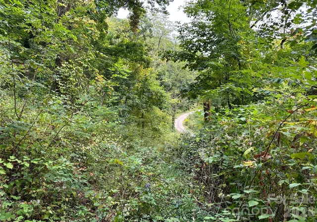 4th image of 00 High Rock View Dr, Canton, NC 28716 | MLS# 4388346