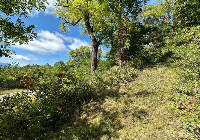 5th image of 00 High Rock View Dr, Canton, NC 28716 | MLS# 4388346