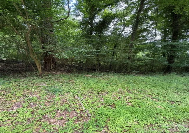 Homes for sale in Norwood, NC | 00 Lake Head Rd, Norwood, NC 28128 | MLS# 4388368