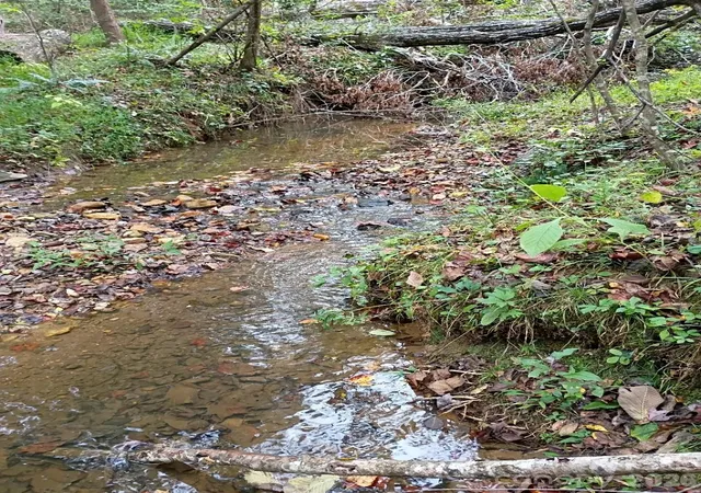 5th image of 3024 Camp Creek Rd, Union Mills, NC 28167 | MLS# 4388390