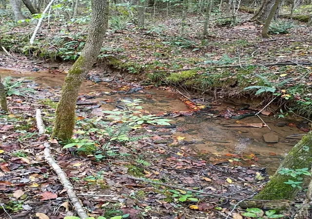 10th image of 3024 Camp Creek Rd, Union Mills, NC 28167 | MLS# 4388390