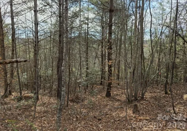 Photo 2 of Land for sale at Lot 4 Kerlee Ln, Old Fort, NC 28762 | MLS# 4388416 | Listing updated on 2026-06-24