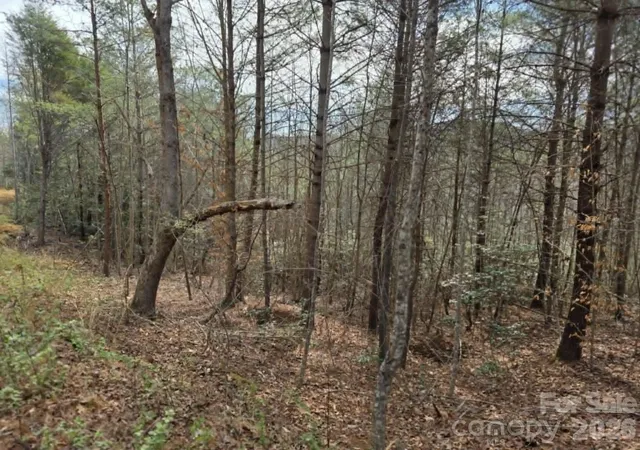 Photo 3 of Land for sale at Lot 4 Kerlee Ln, Old Fort, NC 28762 | MLS# 4388416 | Listing updated on 2026-06-24