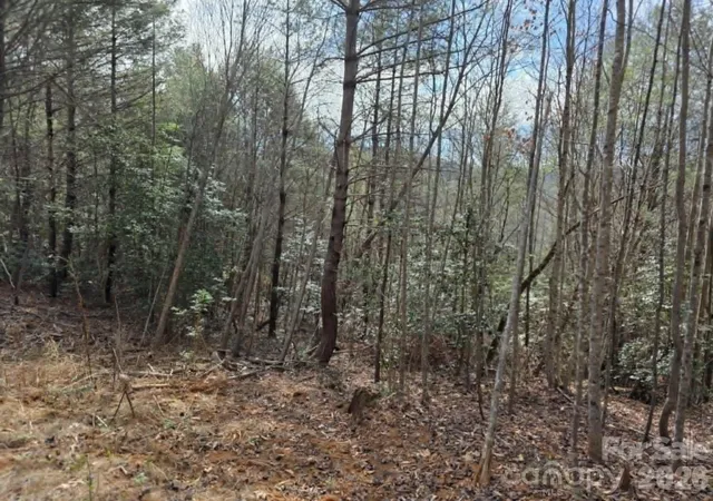Photo 3 of Land for sale at Lot 4 Kerlee Ln, Old Fort, NC 28762 | MLS# 4388416 | Listing updated on 2026-06-24