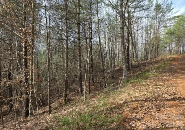 Photo 4 of Land for sale at Lot 4 Kerlee Ln, Old Fort, NC 28762 | MLS# 4388416 | Listing updated on 2026-06-24