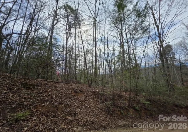 Photo 3 of Land for sale at Lot 1 Kerlee Ln, Old Fort, NC 28762 | MLS# 4388465 | Listing updated on 2026-07-14
