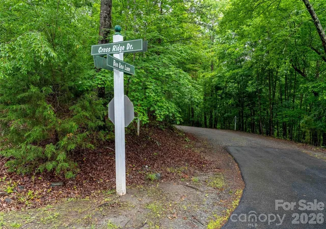5th image of 00 Bee Gee Ln, Rutherfordton, NC 28139 | MLS# 4388486