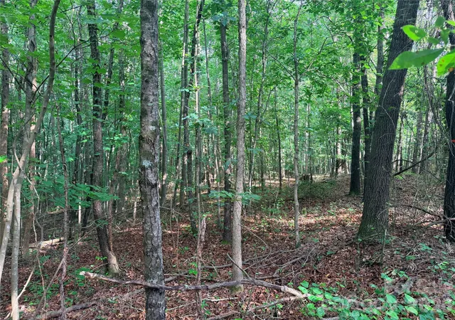 3rd image of Lot 3 Schenck Farm Rd, Lawndale, NC 28090 | MLS# 4388590