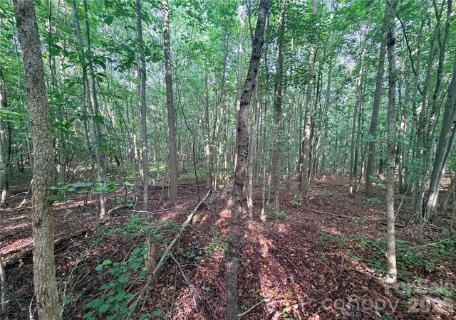 4th image of Lot 3 Schenck Farm Rd, Lawndale, NC 28090 | MLS# 4388590