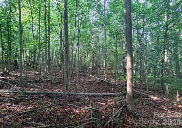 5th image of Lot 3 Schenck Farm Rd, Lawndale, NC 28090 | MLS# 4388590