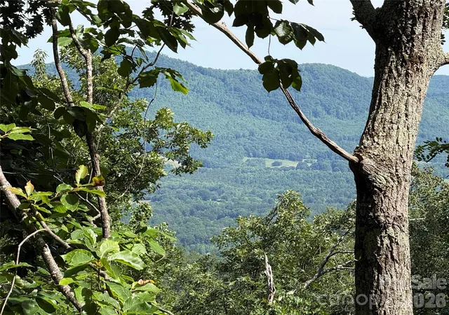 Photo 1 of Land for sale at 0 Arbra Mountain Way #54, Bostic, NC 28018 | MLS# 4388621 | Listing updated on 2026-09-12