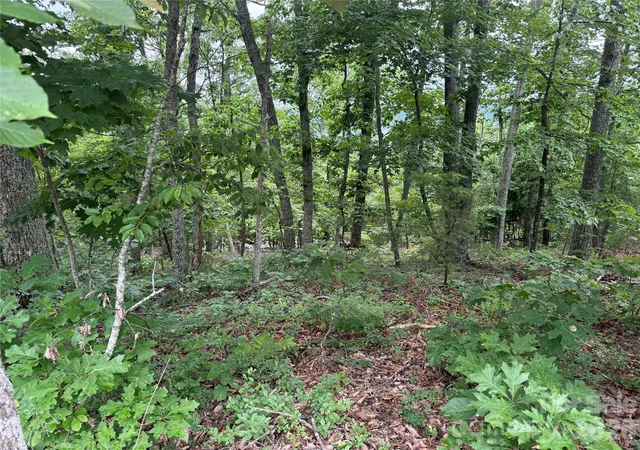 Photo 2 of Land for sale at 0 Arbra Mountain Way #54, Bostic, NC 28018 | MLS# 4388621 | Listing updated on 2026-09-12