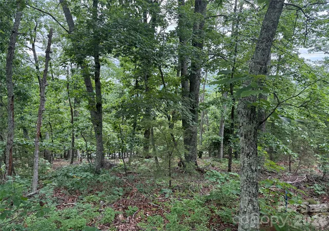 Photo 3 of Land for sale at 0 Arbra Mountain Way #54, Bostic, NC 28018 | MLS# 4388621 | Listing updated on 2026-09-12