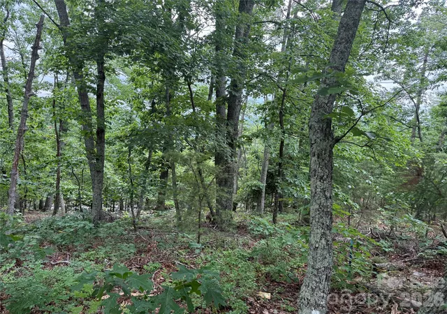 Photo 3 of Land for sale at 0 Arbra Mountain Way #54, Bostic, NC 28018 | MLS# 4388621 | Listing updated on 2026-09-12