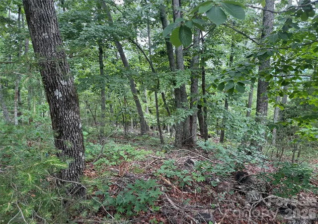 Photo 4 of Land for sale at 0 Arbra Mountain Way #54, Bostic, NC 28018 | MLS# 4388621 | Listing updated on 2026-09-12