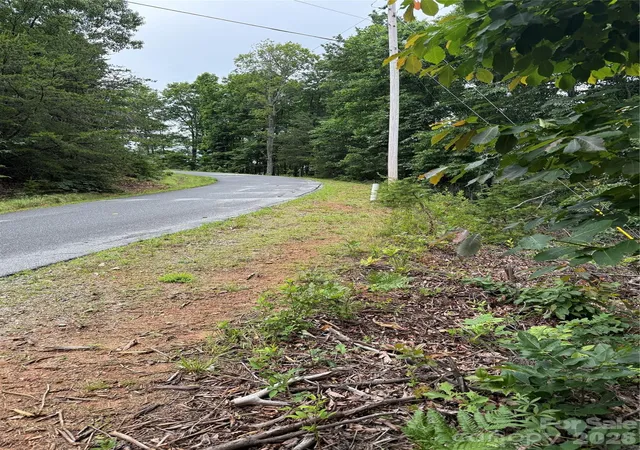 11th image of 0 Arbra Mountain Wy #54, Bostic, NC 28018 | MLS# 4388621