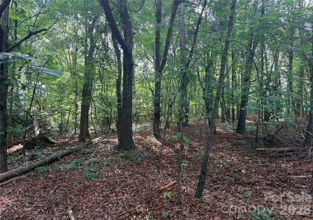 11th image of Lot 1 Schenck Farm Rd, Lawndale, NC 28090 | MLS# 4388626