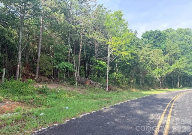 5th image of Lot 1 Schenck Farm Rd, Lawndale, NC 28090 | MLS# 4388626
