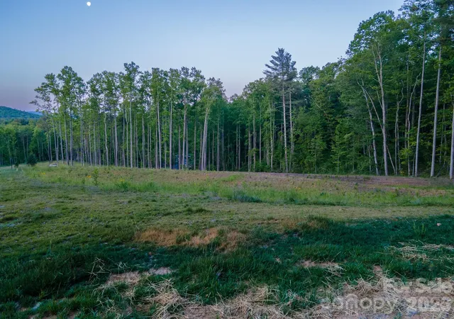 image of 444 Irvine Dr, Fairview, NC 28730 | MLS# 4388673