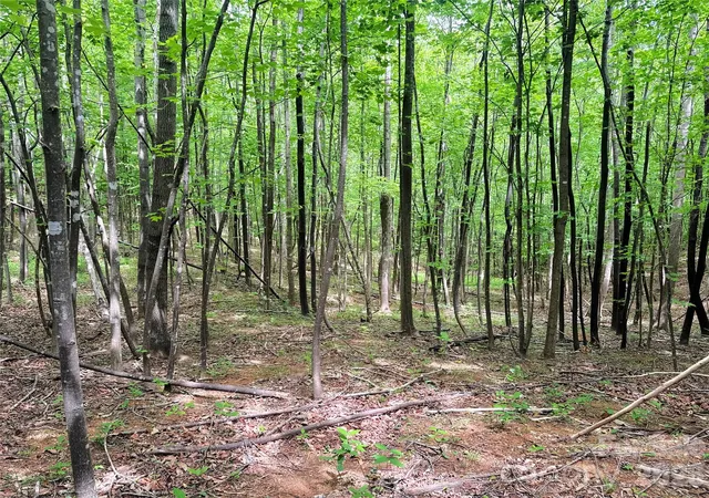 3rd image of 000 Laughter Rd, Mill Spring, NC 28756 | MLS# 4388682