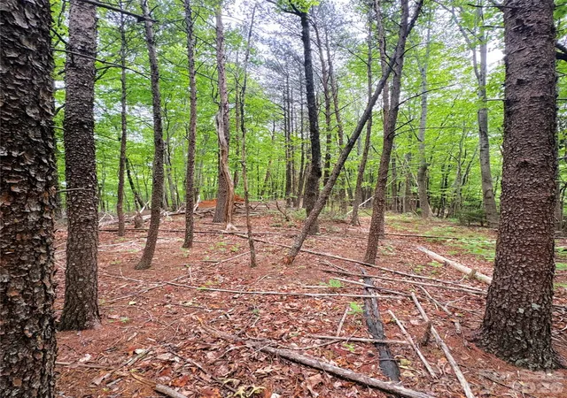5th image of 000 Laughter Rd, Mill Spring, NC 28756 | MLS# 4388682