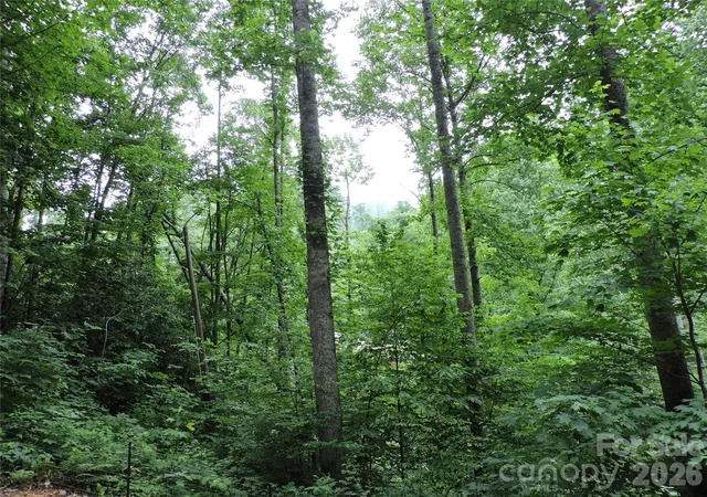 Homes for sale in Bakersville, NC | 963 Melton Branch Rd, Bakersville, NC 28705 | MLS# 4388856