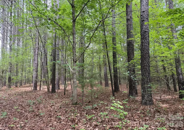 Homes for sale in Bullock, NC | 0 Herbert Faucette Rd, Bullock, NC 27507 | MLS# 4388984