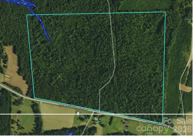 Homes for sale in Bullock, NC | 0 Herbert Faucette Rd, Bullock, NC 27507 | MLS# 4388984