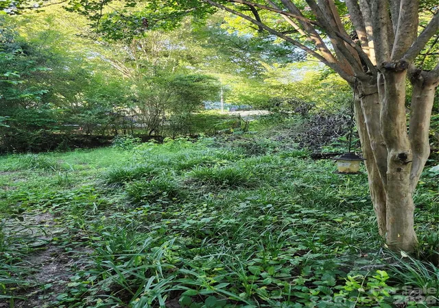 3rd image of 12324 Tweedsmuir Dr, Pineville, NC 28134 | MLS# 4389030