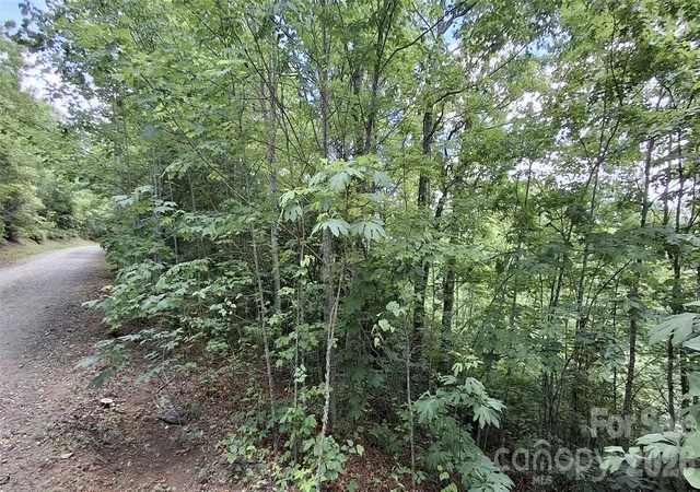 Homes for sale in Sylva, NC | Lot 29 Signal Ridge Rd #29, Sylva, NC 28779 | MLS# 4389107
