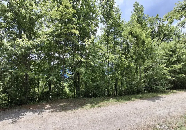 Homes for sale in Sylva, NC | Lot 29 Signal Ridge Rd #29, Sylva, NC 28779 | MLS# 4389107