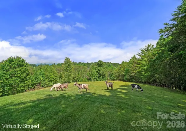 Photo 3 of Single family home for sale at 56 Gudger Rd, Leicester, NC 28748 | MLS# 4389320 | Listing updated on 2026-08-28