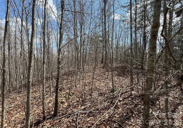 Homes for sale in Marshall, NC | 192 Pine Cone Trl #21, Marshall, NC 28753 | MLS# 4389391